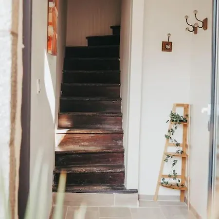 Appartement Avec Patio Sainte-Anne-d'Auray Exterior photo